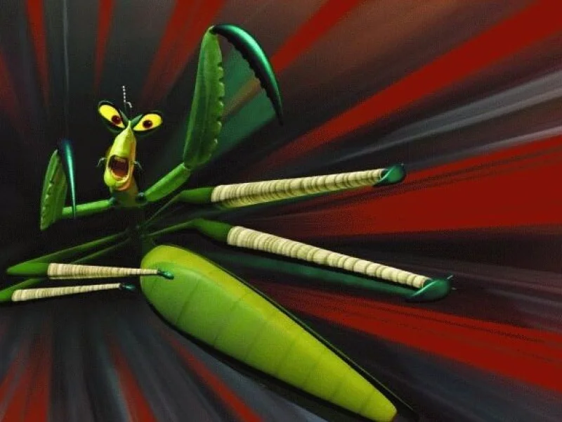 Кадр 3 из Кунг-фу Панда  (2008)