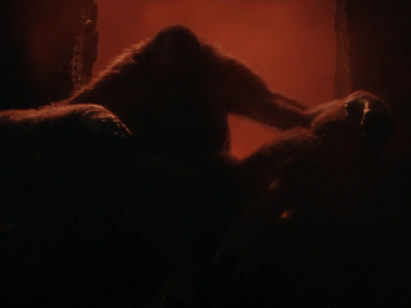 Кадр 3 из Годзилла и Конг: Новая империя  (2024)